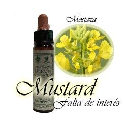 Mustard - Mostaza 10 ml.