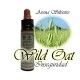 Wild Oat - Avena Silvestre 10 ml.