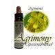 Agrimony - Agrimonia 10 ml.