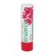 Brumvit Protector Labial Fresa 4 gr.