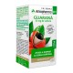 ARKOCAPSULAS GUARANA 40 CAPSULAS