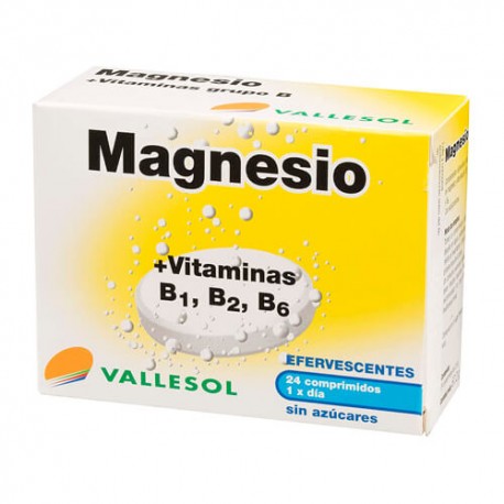 VALLESOL MAGNESIO+B EFERV 24 CAPS