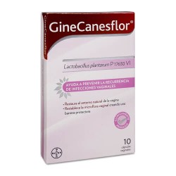 GINE-CANESFLOR 10 CAPSULAS VAGINALES