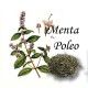 Menta Poleo Caja 20 Bolsitas